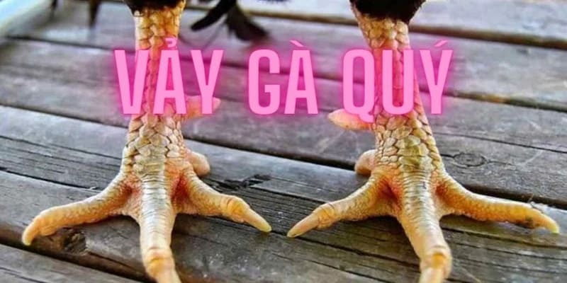 Vảy Gà Quý Bí Quyết Nhận Biết Và Lựa Chọn Gà Chọi Xuất Sắc